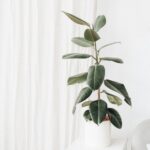 Discover the trending home decor colors for 2019 - find out what's in!