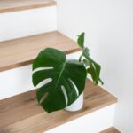 Discover the artisans behind Home Decorators Collection for Home Depot's stunning home décor