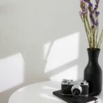 Suggestions for DIY decorations and party supplies to create a festive atmosphere at home