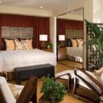 Home Decorators Company still in operation Clarify if 'Did the Home Decorators Company go out of business'