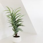 Step-by-step guide: How to decorate nails at home using simple nail art techniques