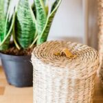 When does At Home get Halloween decorations: Spooky and Festive Choices for Your Home