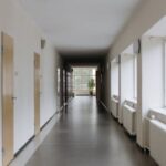 How to Make Decoration Pieces at Home with Plastic Bottles: DIY Crafts for Recycled Decor