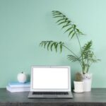 Transitional Style: A blend of traditional and modern home decor elements for a timeless, elegant look