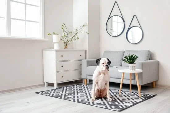 How to Decorate Your Home Screen With Ios 14 1 Step-by-step guide on how to decorate your home screen with iOS 14 widgets and custom app icons