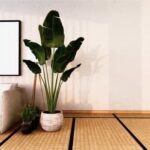 How to Decorate Your Home at Diwali How to Decorate Your Home at Diwali: Traditional Rangoli, diyas, and vibrant textiles