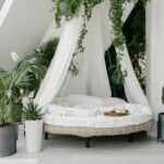 Step-by-step guide on how to decorate a cake at home for beginners