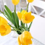 How to Budget for Home Decorating: Tips for Affordable Style and Functional Design