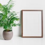 How to Decorate Ganpati Mandap at Home How to Decorate Ganpati Mandap at Home: Step-by-step guide for beautiful home decorations