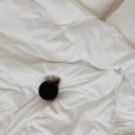 How to Install Home Decorators Vinyl Flooring Step-by-step guide on how to install Home Decorators vinyl flooring for a stylish home upgrade