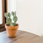 Step-by-step guide on how to decorate my home for Christmas for guests