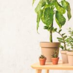 How to Make Cake Decorating Icing at Home Step-by-step guide on how to make cake decorating icing at home using simple ingredients