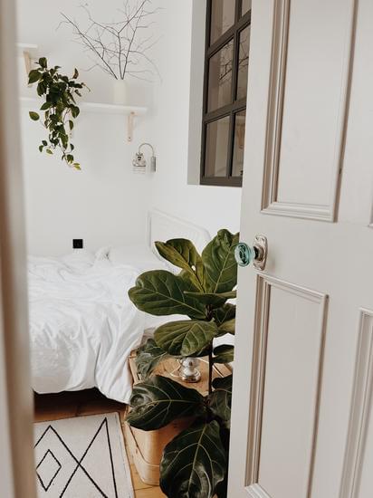 Designers embrace daylight bulbs for ambiance and energy efficiency