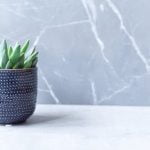 How to Decorate for Christmas