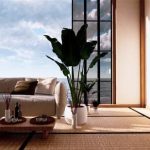 Budget-Friendly Ideas to Transform Your Space