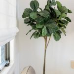 Home decor industry encompasses furniture, textiles, lighting, and home accessories