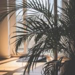 Spooky yet charming HOME MADE HALLOWEEN DECORATION ideas to dazzle your guests this season