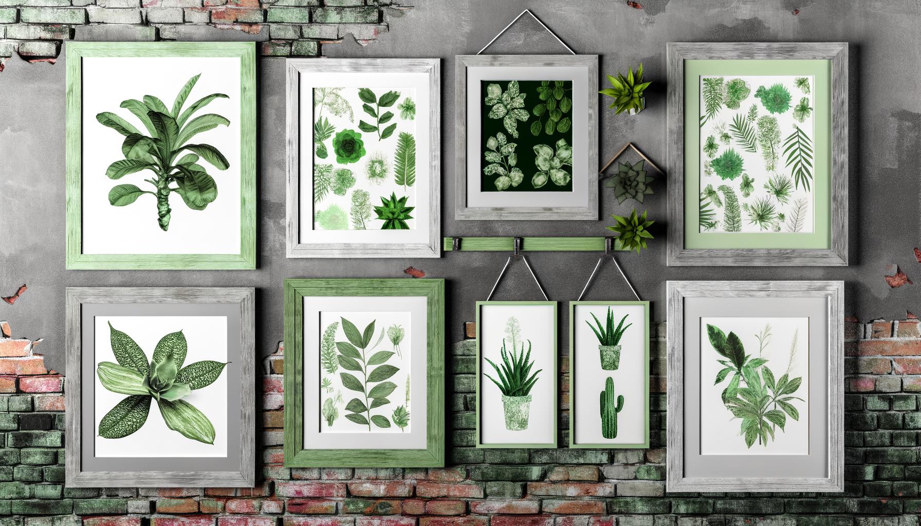 botanical print wall art projects 0
