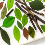 Tropical-Inspired Wall Art With Stencils nature-inspired-diy-wall-art-with-leaves-and-twigs-0